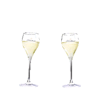 SchlumbergerSekt celebration cheers new year happy new year Sticker