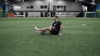 GIF by Hockey Training