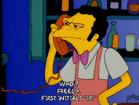 Season 1 Episode 3 GIF by The Simpsons