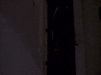 Miami Vice Rico GIF by Goldmaster