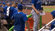 dance miami GIF by MLB