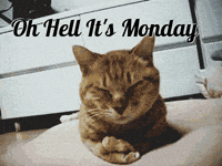 t comes GIF