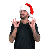 Christmas Bravo Sticker by akis_petretzikis