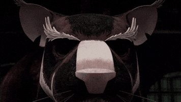 wake up surprise GIF by Teenage Mutant Ninja Turtles