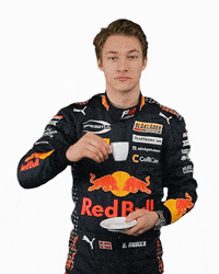 Formula 3 Dennis GIF by Prema Team