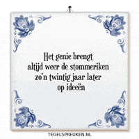 Genie Humor GIF by Tegelspreuken.nl