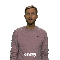 Idiot What Sticker by SWR3