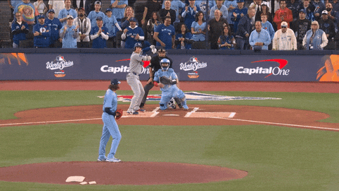 Blue Jays Canada GIF by Toronto Blue Jays