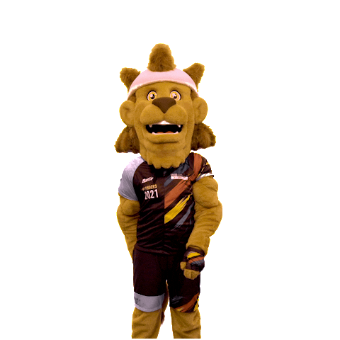 Happy Party Sticker by Flanders 2021