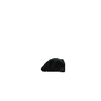 Dog Puppy Sticker by De Contentmaker