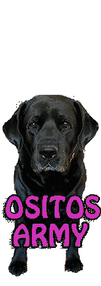 recetasfit army harold osito blacklab Sticker
