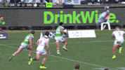 Try Nrl GIF by Canberra Raiders