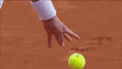 Tennis Court Sport GIF by Roland-Garros