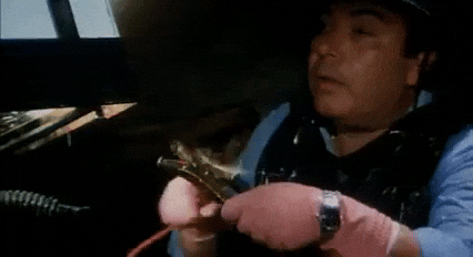 Zoo Di 105 Linobanfi GIF by JonnyMele