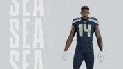American Football GIF by Seattle Seahawks