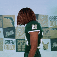 Ncaa Football GIF by USF Athletics