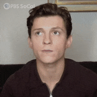 Tom Holland Hm GIF by PBS SoCal