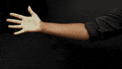Music Video Guitar GIF by Polyvinyl Records