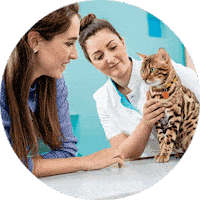 Nobivac Felv Sticker by MSD Família Pet