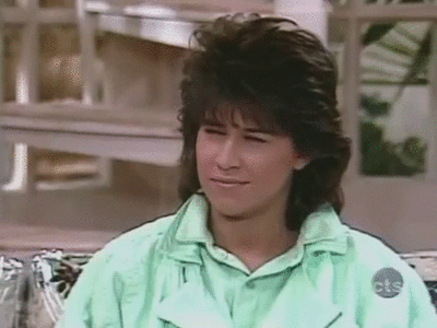 the facts of life GIF