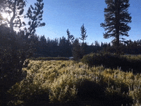 Calm GIF by Justin