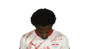 Look Up Rb Leipzig Sticker by Bundesliga