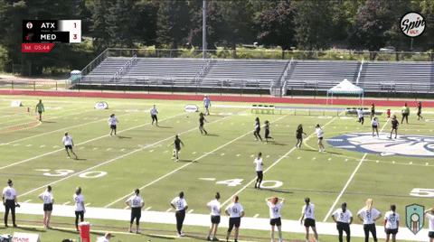 flikulti ultimate frisbee flik GIF