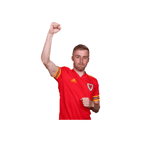 Wales National Team Football Sticker by FA Wales