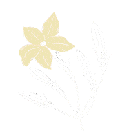 Jasmine Sticker by HijabChic