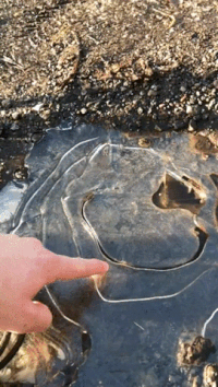 ice puddle GIF
