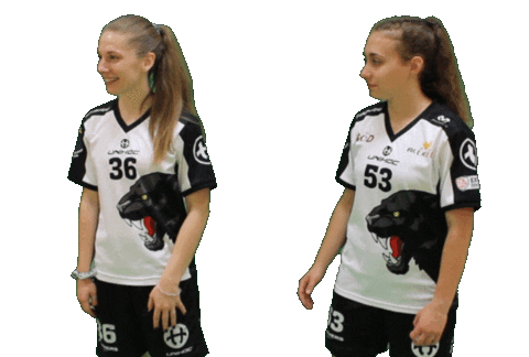 Sport Team Sticker by Panthers Praha