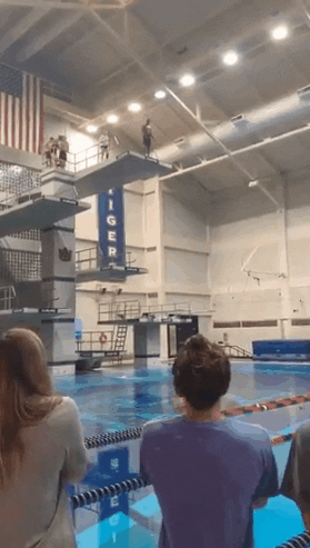 brandonmarcello giphyupload auburn allen greene GIF