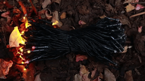 madalinliviu giphyupload GIF