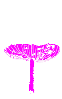 Magic Fairy Sticker