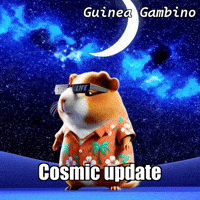 Stars Night GIF by Guinea Gambino