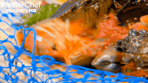 masterchef GIF by Fox TV
