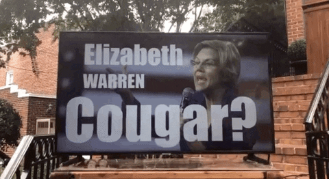 Elizabeth Warren Cougar GIF