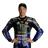 Franco Morbidelli No Sticker by MotoGP