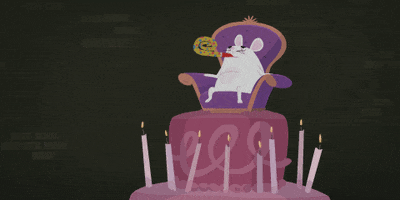 Party Celebrate GIF by Kitty Is Not A Cat