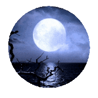 Boa Noite Sticker