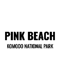 Pinkbeach Sticker by Dragon Dive Komodo