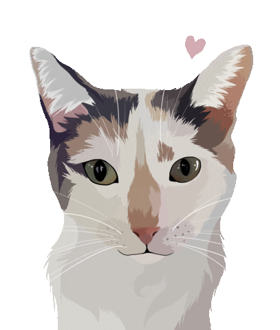 Cat Adopt Sticker by Watertown Humane Society