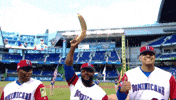 Dominican Republic Rally GIF by MLB