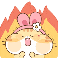 Lookiivn cutie cute cat funny cat de thuong GIF