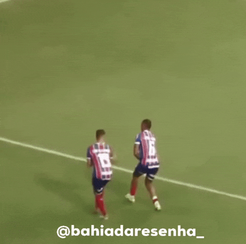 Bahia GIF