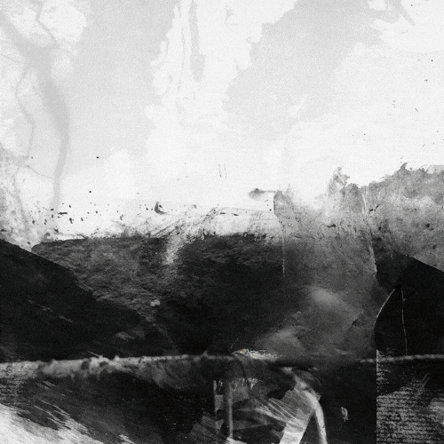 Kim Spartan Race GIF by Spartan Race Philippines