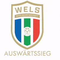 Spgwels GIF by SPG WSC Hogo Hertha Wels