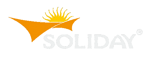 Sunsail Sticker by Soliday