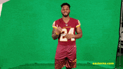 Washington Football Team GIF by Easterns Automotive Group