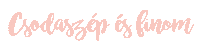 egycsipettorta magyar torta magyargif kaja Sticker